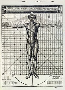 Ihmiskehoon perustuvat ihanteelliset mittasuhteet, Gotardo de Ponte Comon teoksesta "Di Lucio Vitruvio Pollione de architectura a libri dece", 1521. tekijältä Cesare di Lorenzo Cesariano